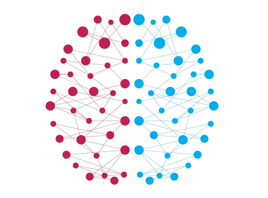 Beyond ‘Pink Brain, Blue Brain’: Gender Differences in Neurodiversity & Their Consequences