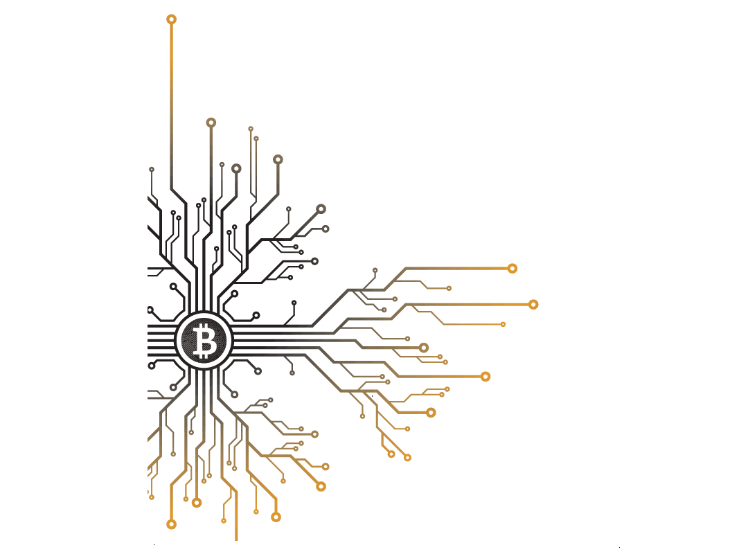 Digital Currencies and Their Adoption in Singapore