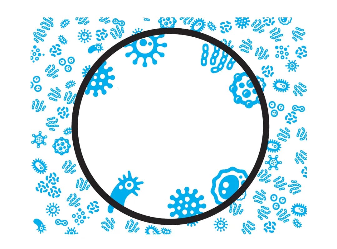 COVID-19, Pandemics & Vaccinations