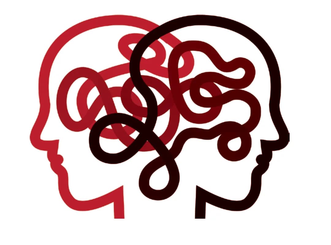 The ‘Hwa Chong Woman’ Incident: How Do We Discuss Racism in Light of Mental Illness?