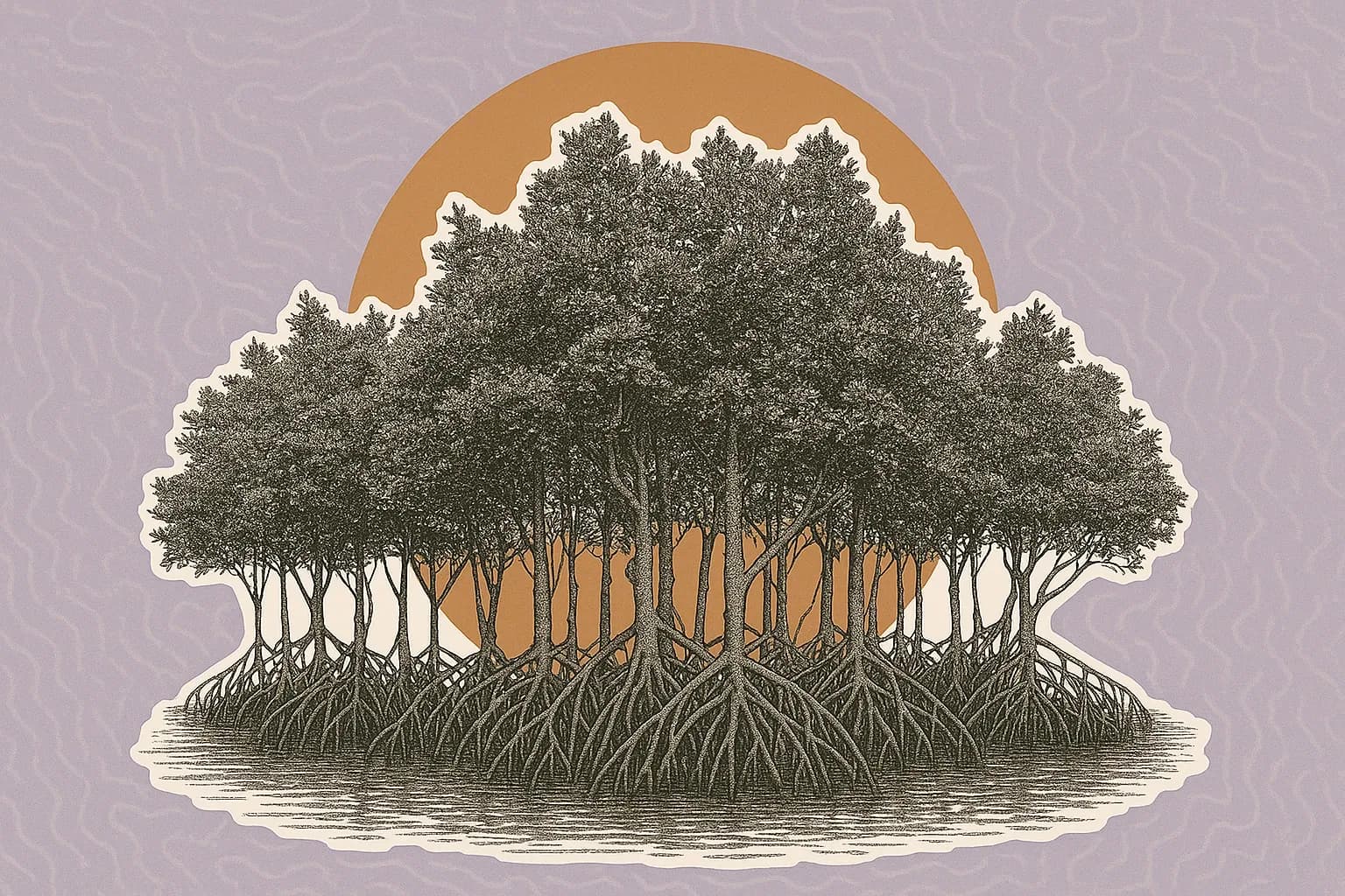 Mangroves: Shelter, Shield, and Social Space