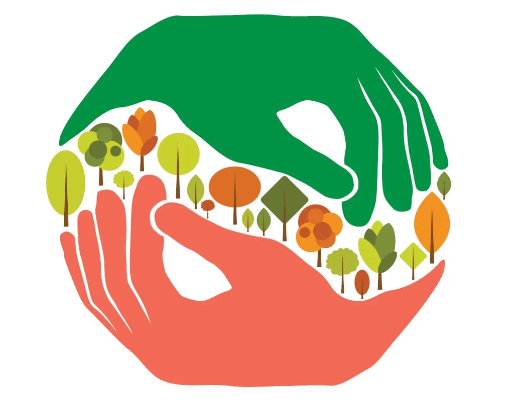 Islam and the Environment: The Disconnect?